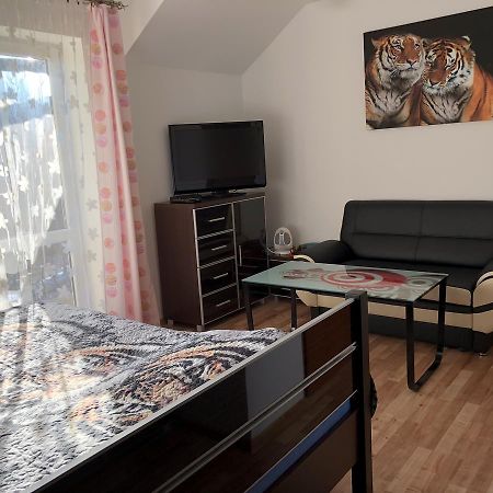 Agata Apartman Wisła Kültér fotó